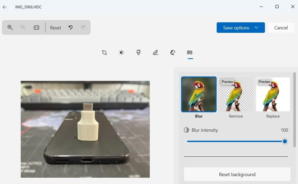 Giao diện tính năng xóa nền ảnh trong ứng dụng Photos của Windows 11
