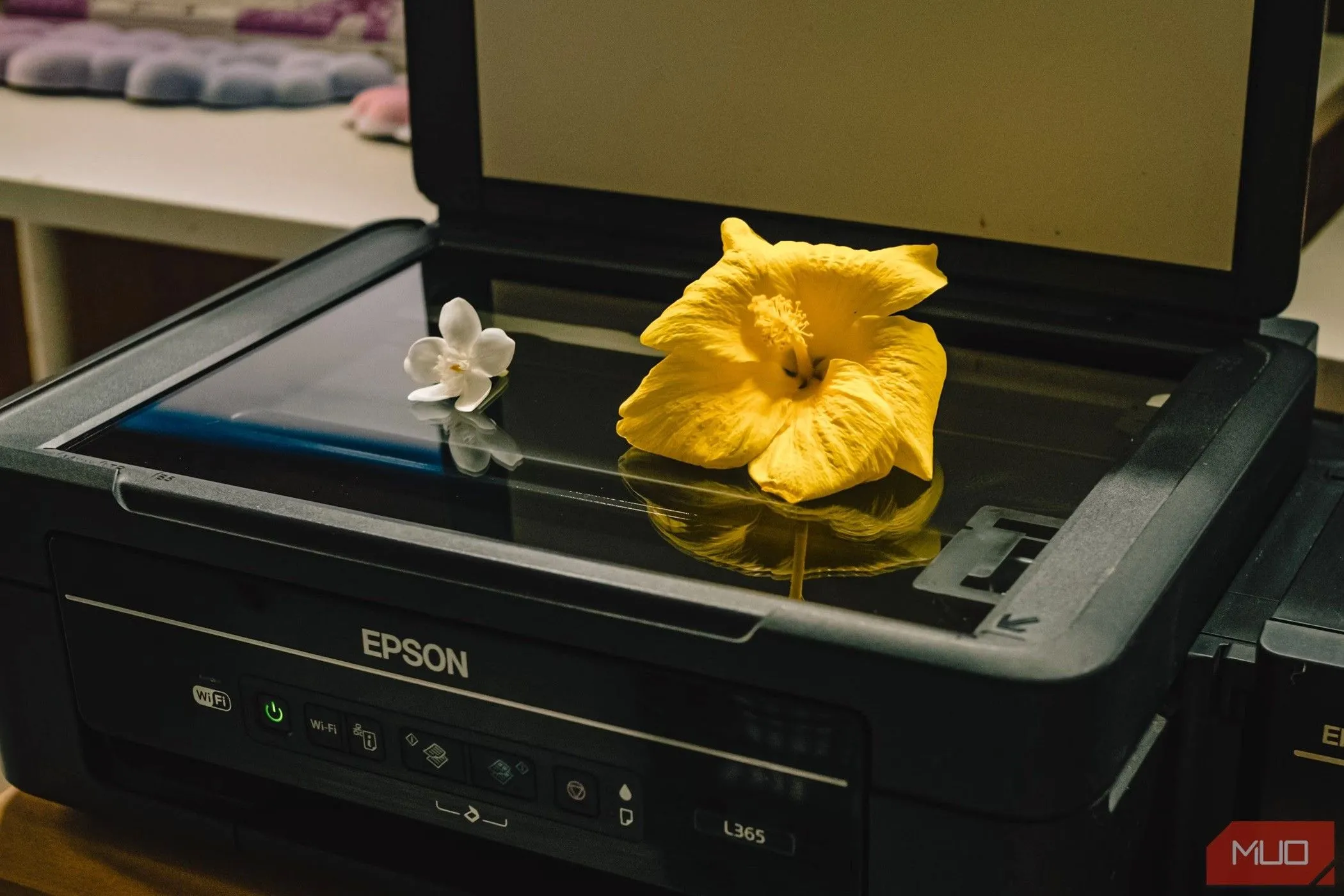 Một máy quét phẳng (flatbed scanner) truyền thống, thiết bị được thay thế phần lớn bởi ứng dụng quét tài liệu trên smartphone