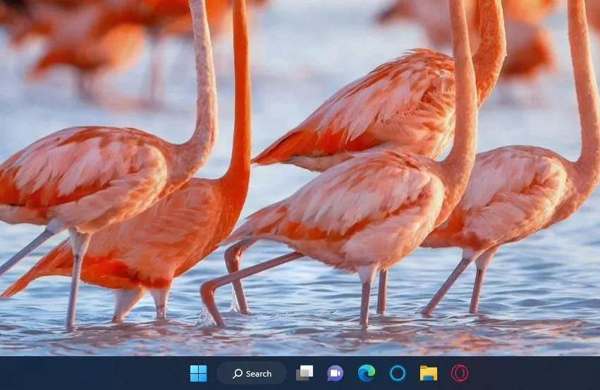 Thanh Taskbar của Windows 11 với các biểu tượng ứng dụng và khu vực hệ thống, thể hiện sự gọn gàng và tiện lợi